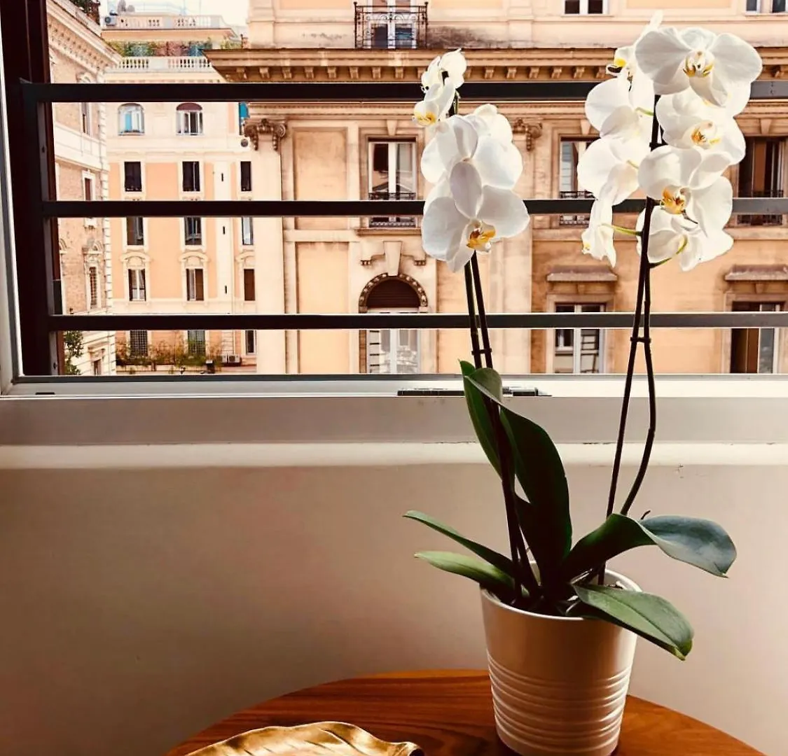 900 Piazza Del Popolo Bed & Breakfast Rome